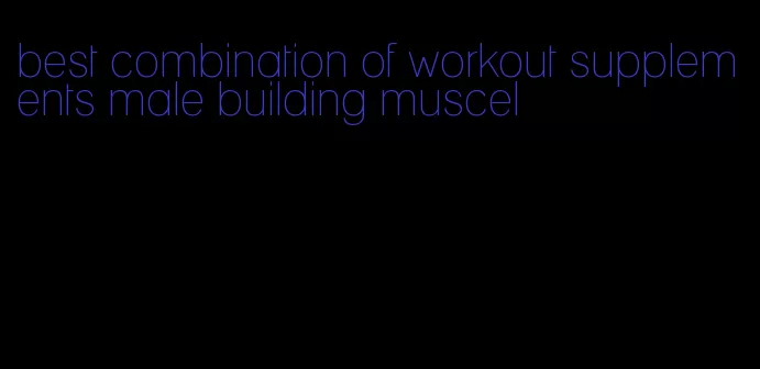 best combination of workout supplements male building muscel