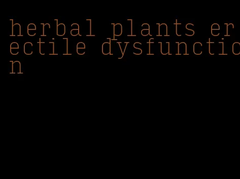 herbal plants erectile dysfunction