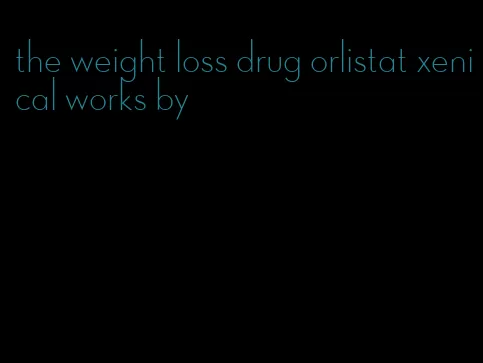 the weight loss drug orlistat xenical works by